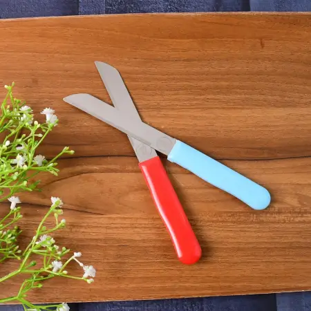 Premium Stainless Steel Knife Set – 10-Piece Lightweight Kitchen Utility Knives with Ergonomic Plastic Handles for Daily Cutting & Chopping ( default, Standard )