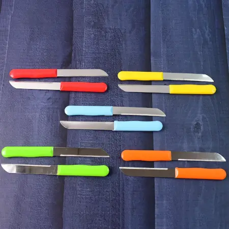 Premium Stainless Steel Knife Set – 10-Piece Lightweight Kitchen Utility Knives with Ergonomic Plastic Handles for Daily Cutting & Chopping ( default, Standard )